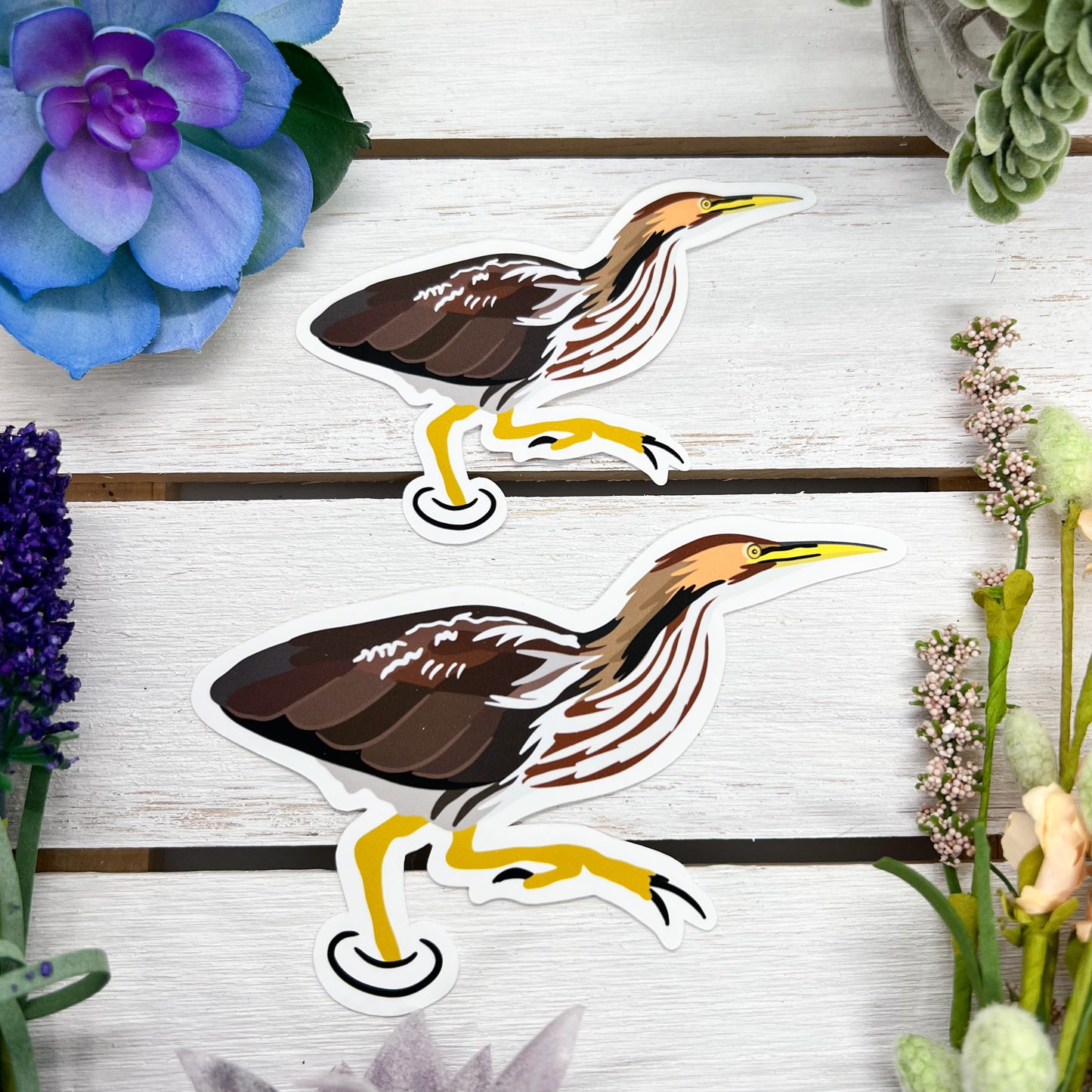 American Bittern Sticker