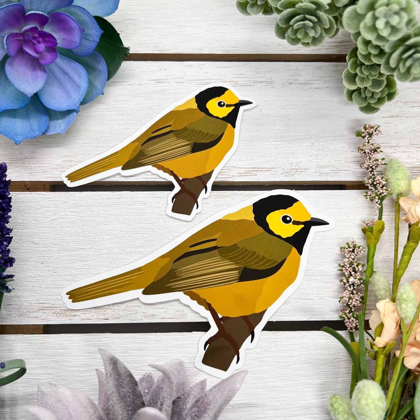 Hooded Warbler Sticker