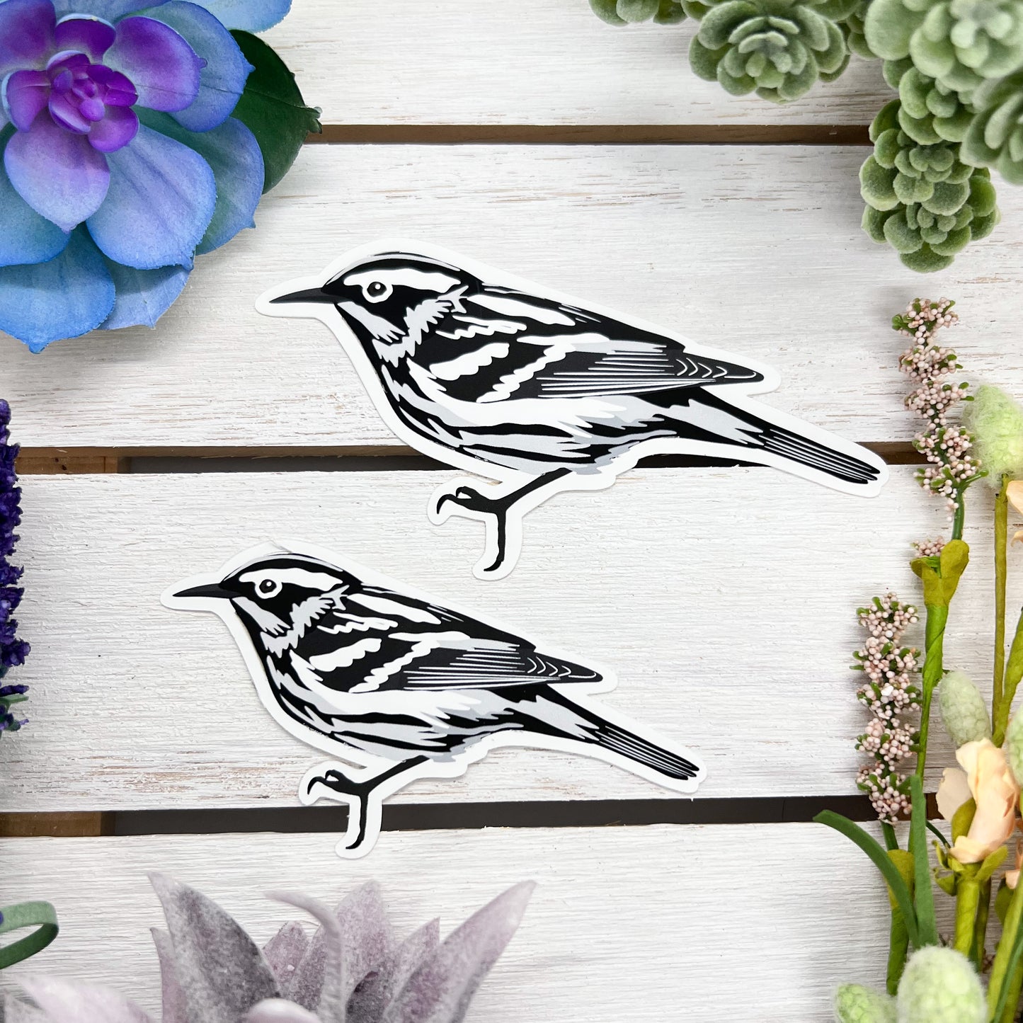 Black And White Warbler Sticker