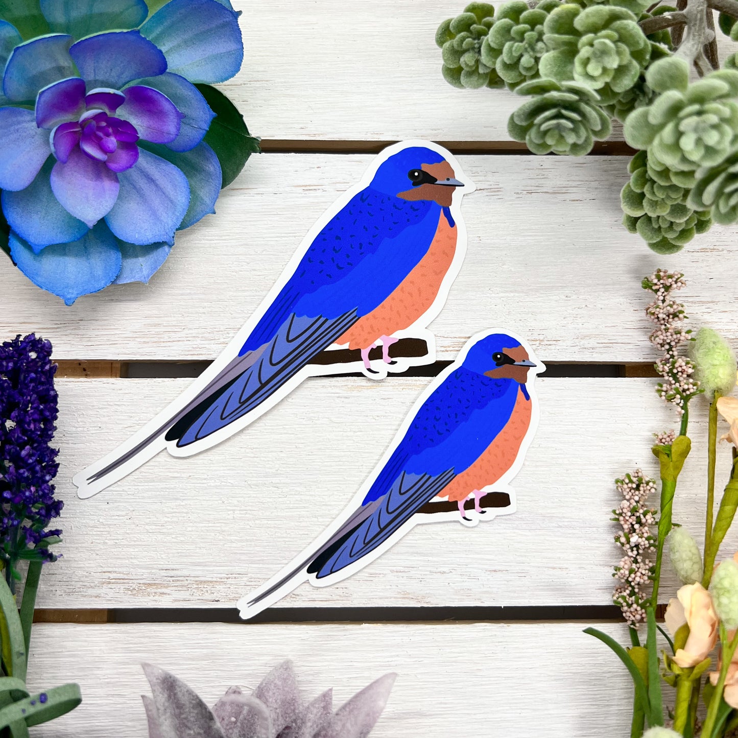 Barn Swallow Sticker