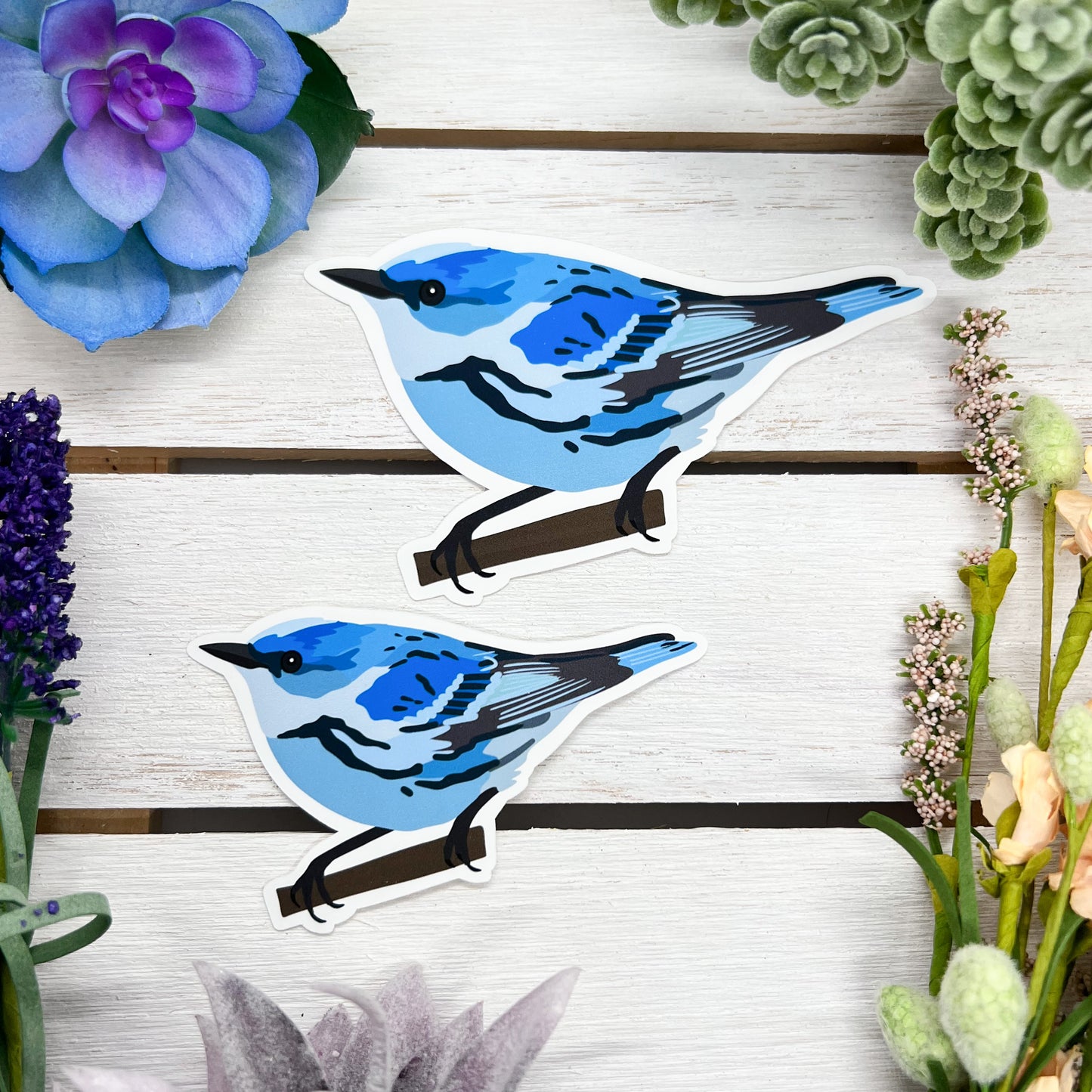 Cerulean Warbler Sticker