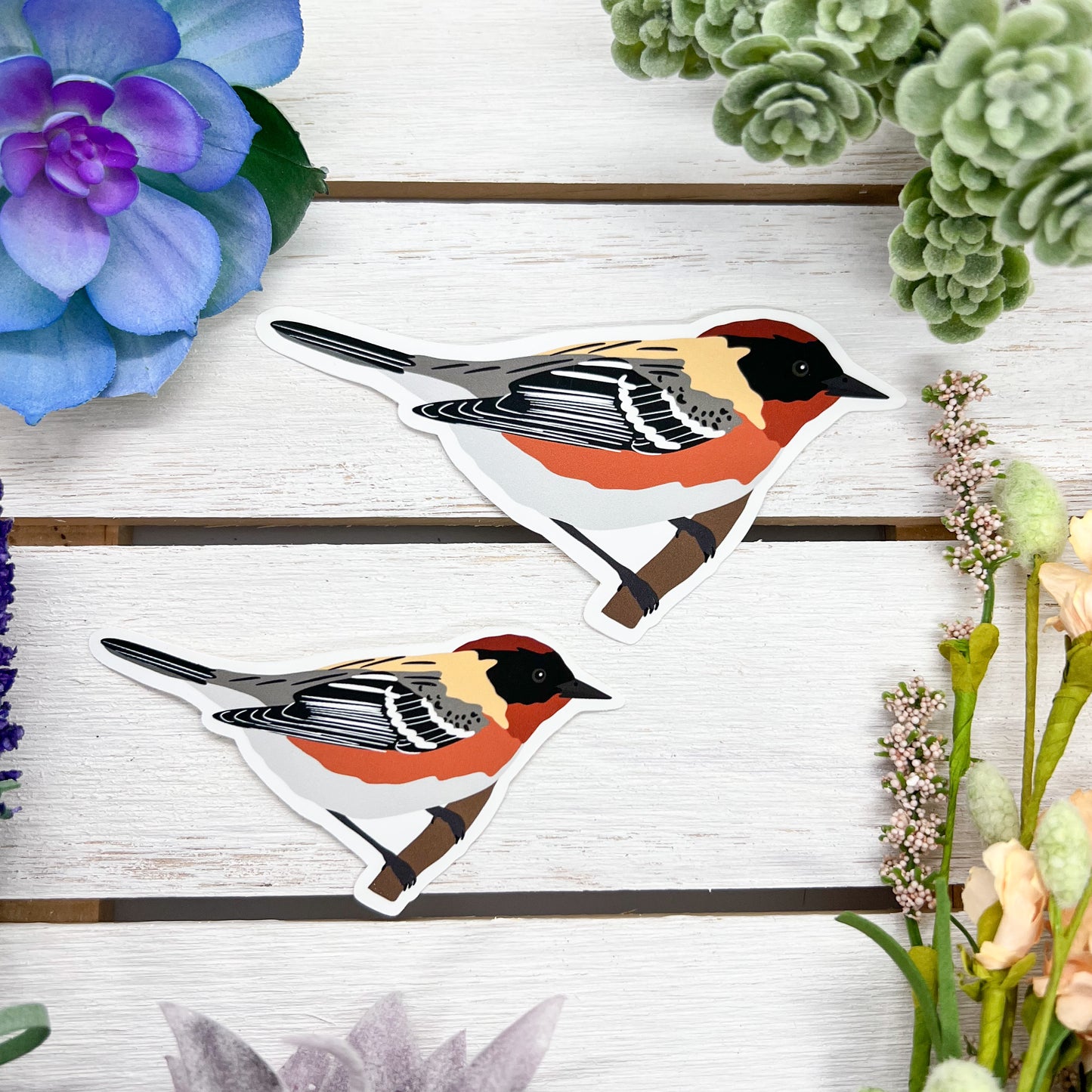 Bay Breasted Warbler Sticker