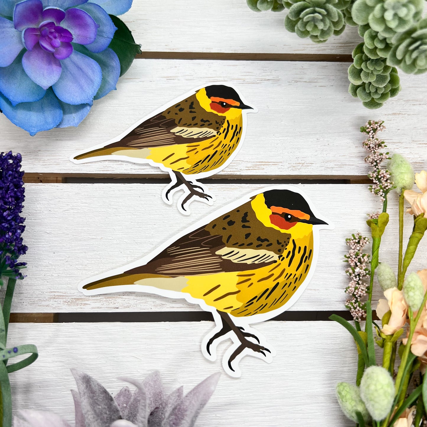 Cape May Warbler Sticker