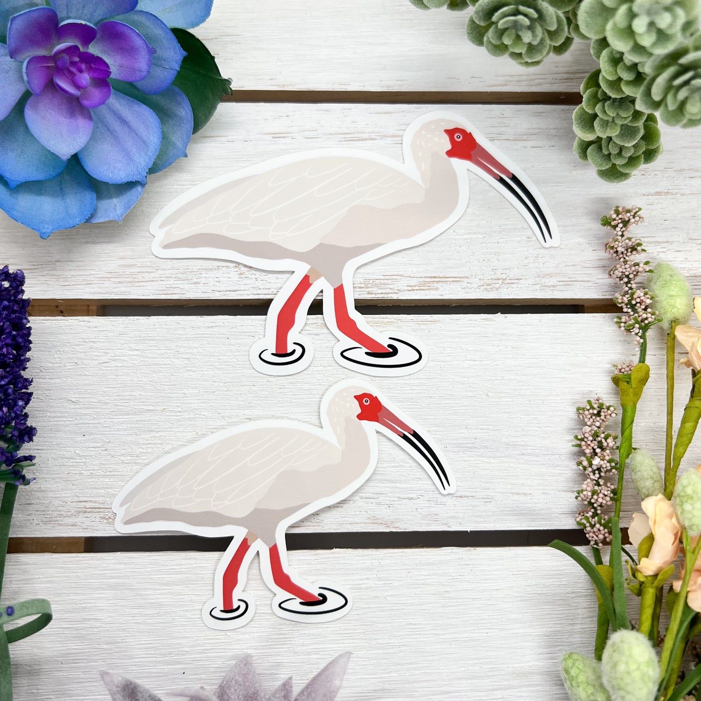 White Ibis Sticker