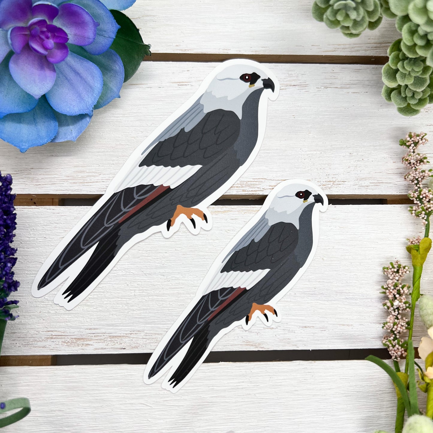 Mississippi Kite Sticker