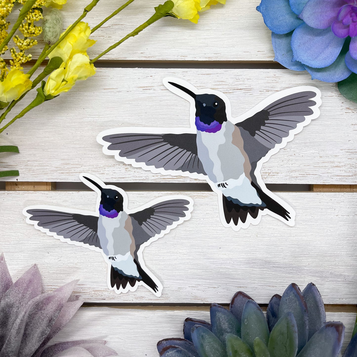 Black Chinned Hummingbird Sticker