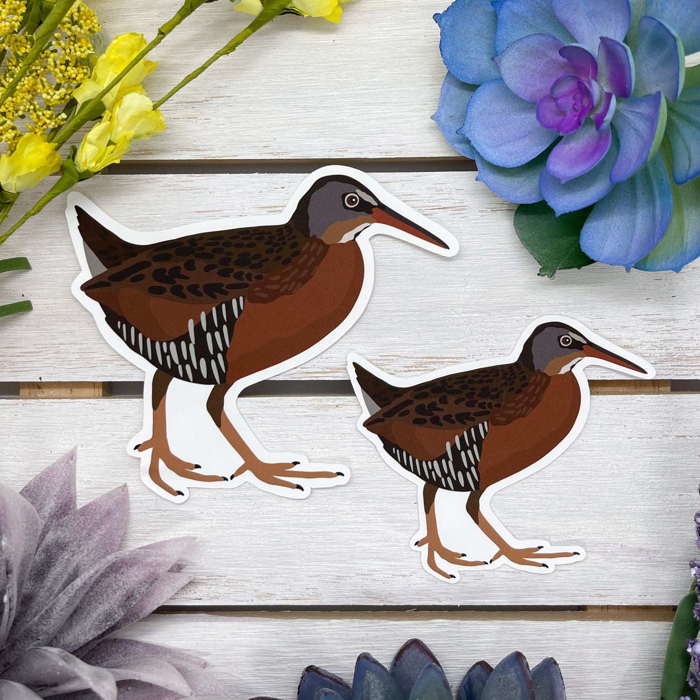 Virginia Rail Sticker