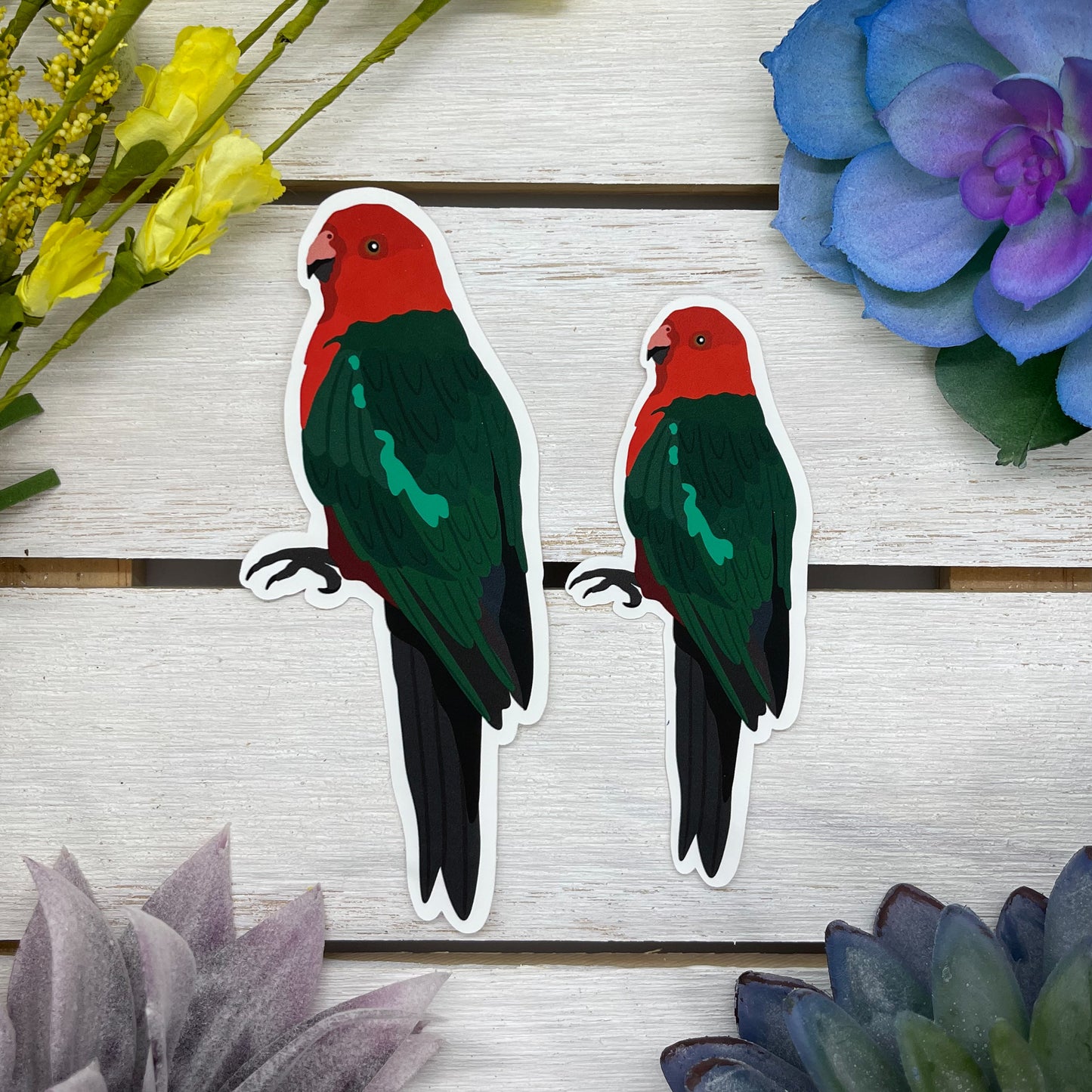 Australian King Parrot Sticker