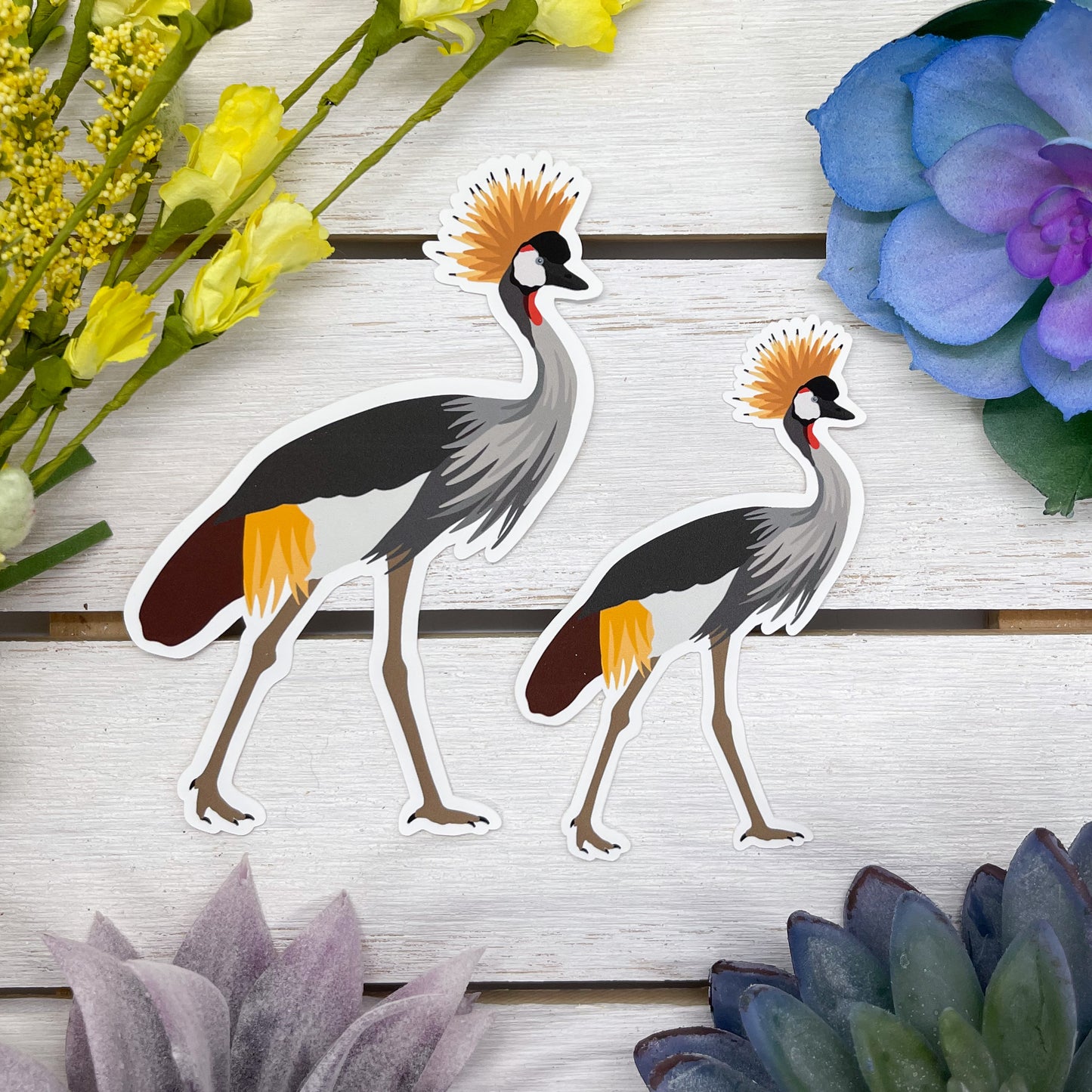 Grey Crowned Crane Sticker