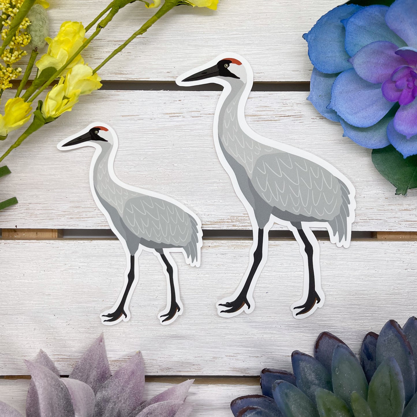 Whooping Crane Sticker