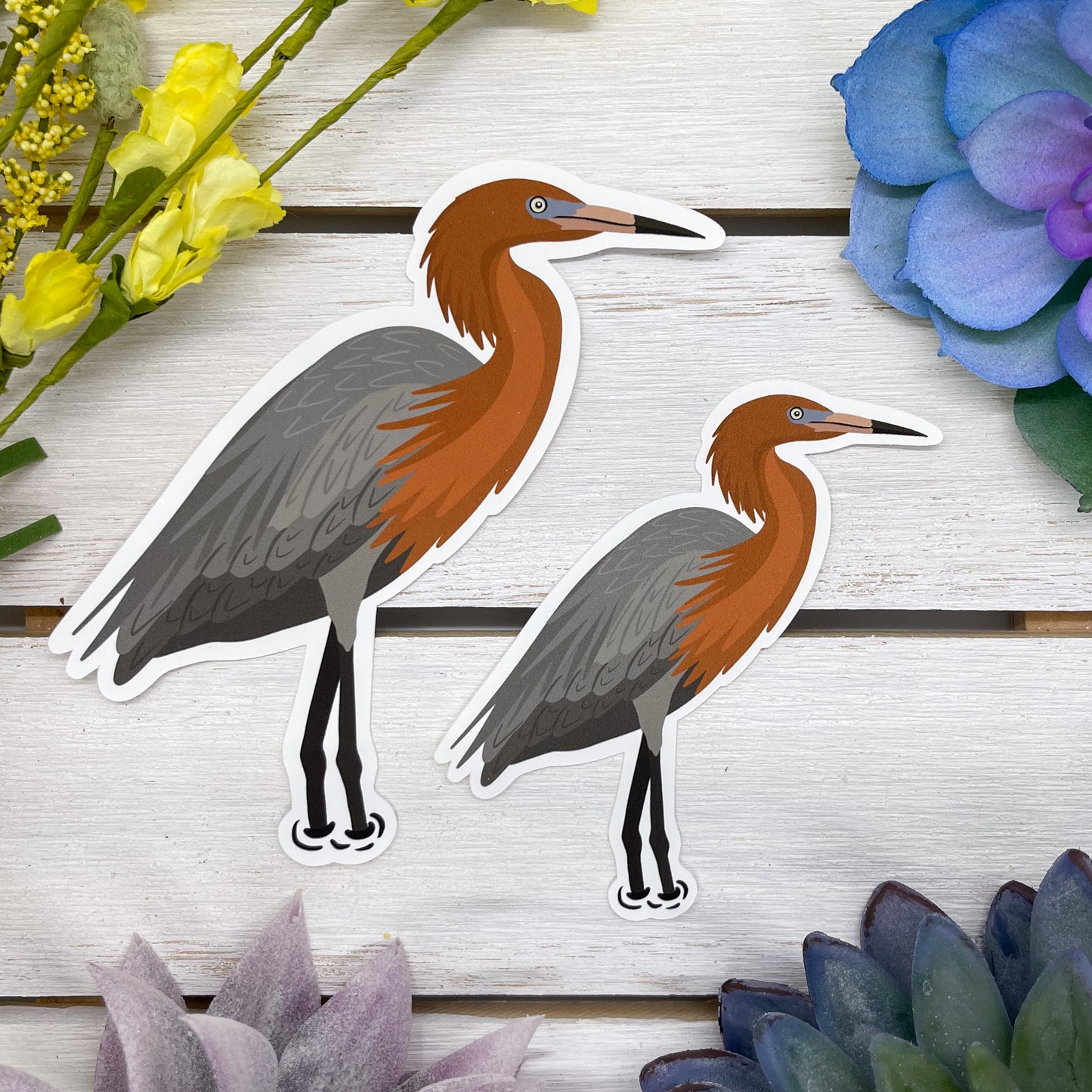 Reddish Egret Sticker