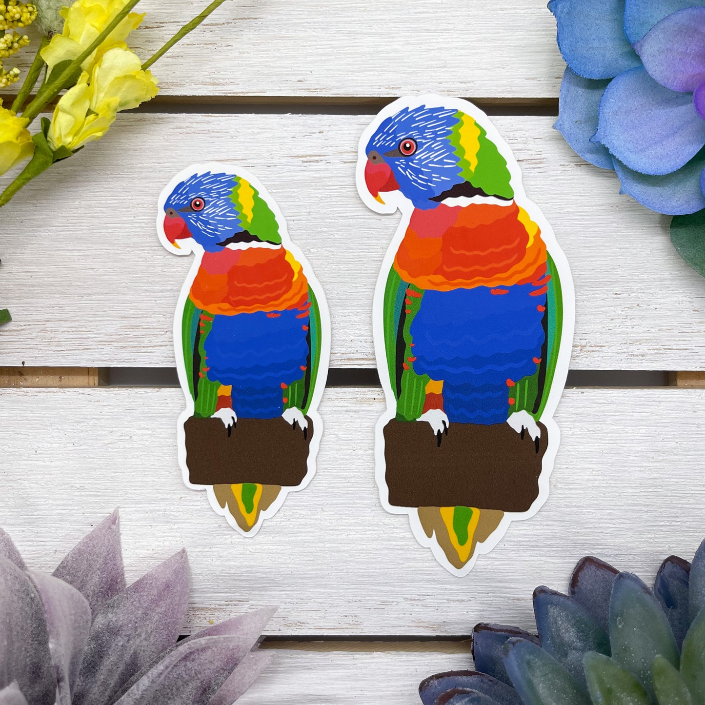 Rainbow Lorikeet Sticker