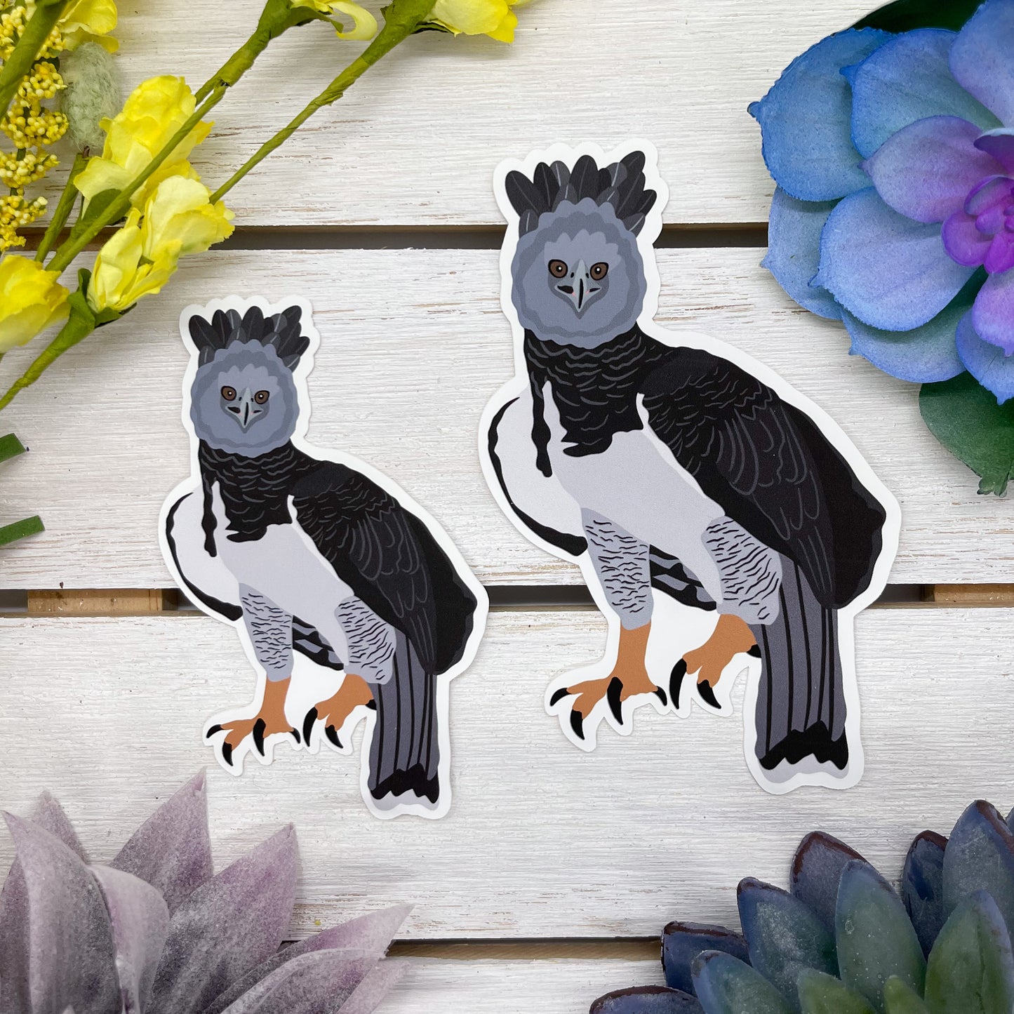 Harpy Eagle Sticker