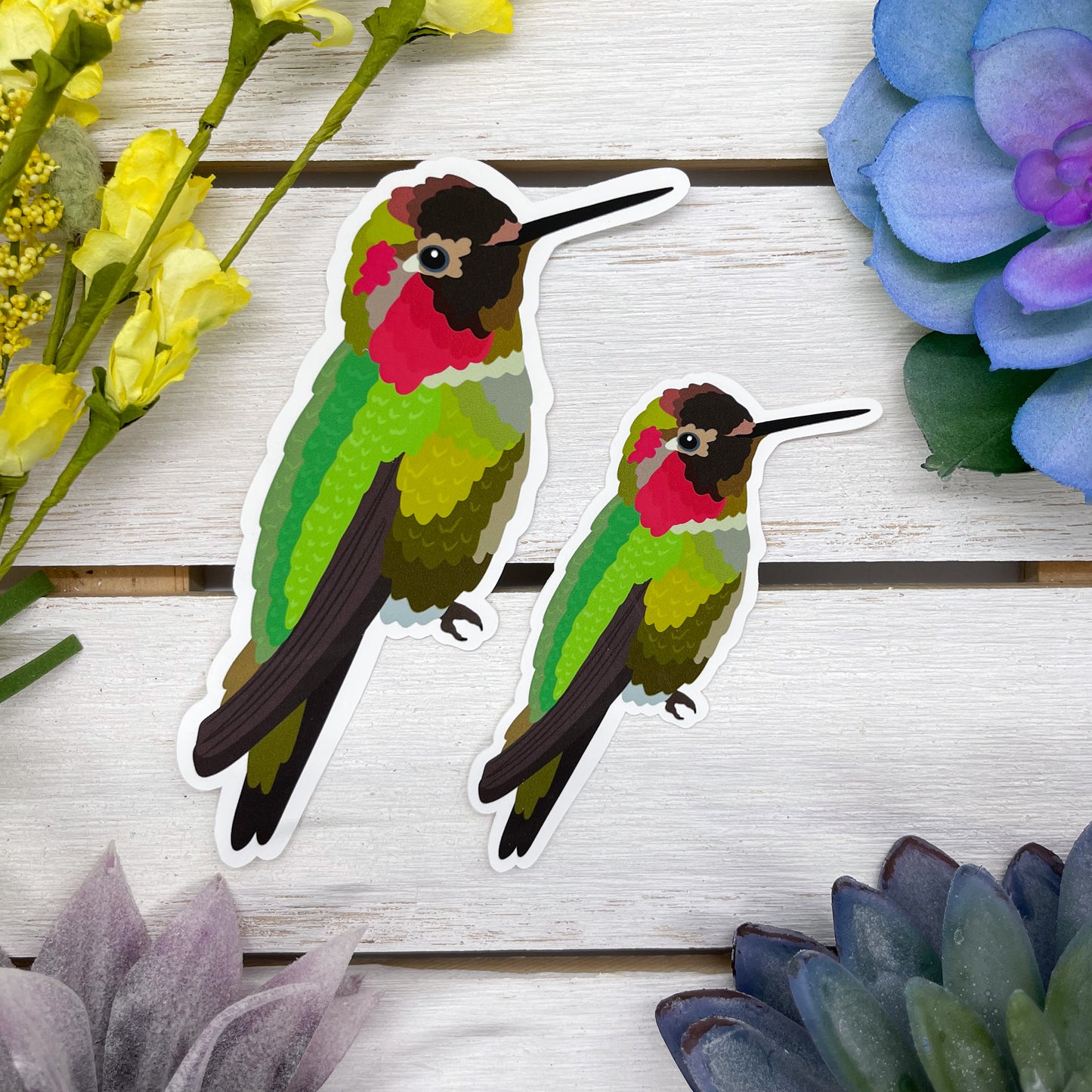 Anna's Hummingbird Sticker