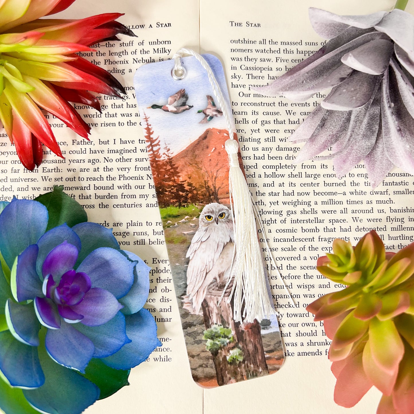 Bird Bookmarks Set Of 4