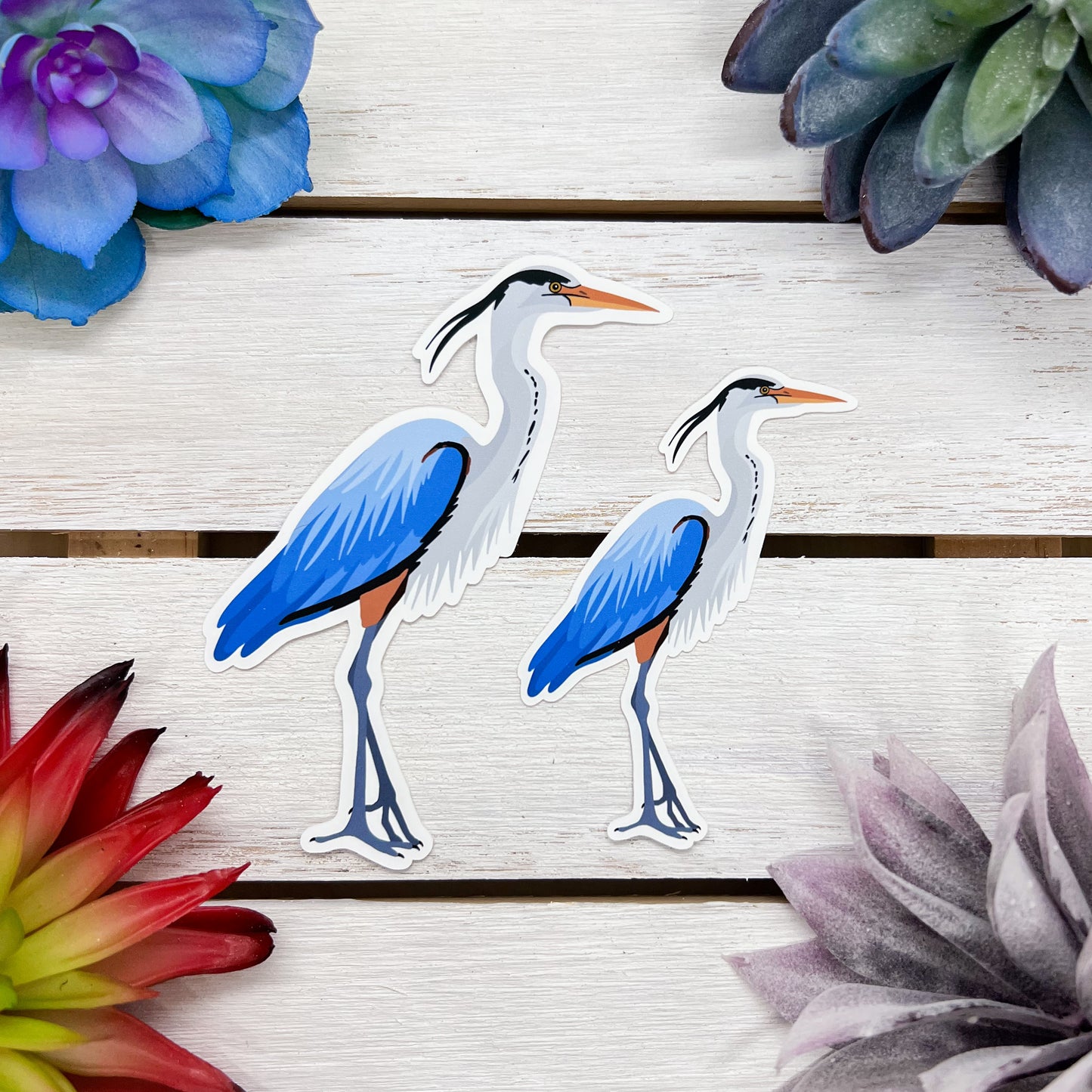 Great Blue Heron Sticker