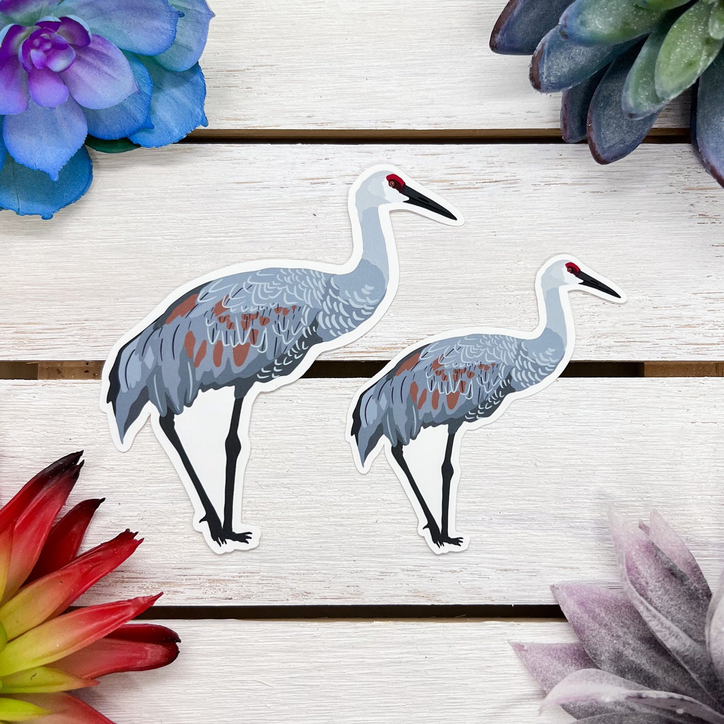 Sandhill Crane Sticker