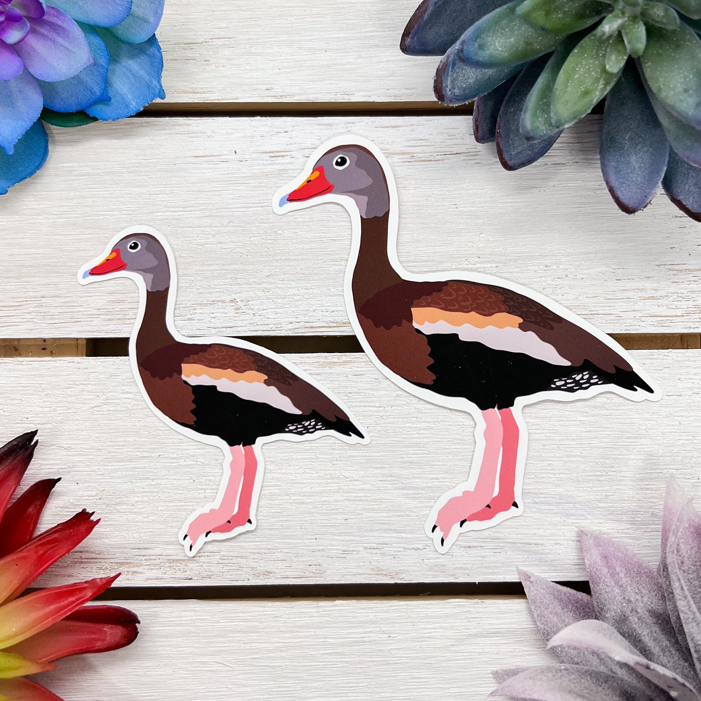 Black Bellied Whistling Duck Sticker