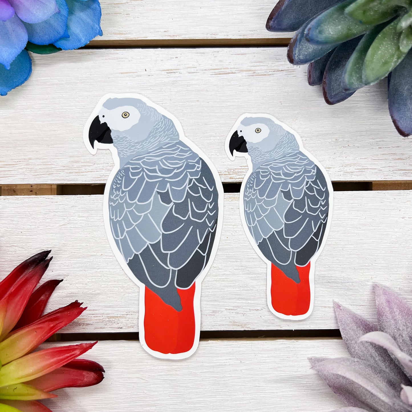 African Gray Parrot Sticker