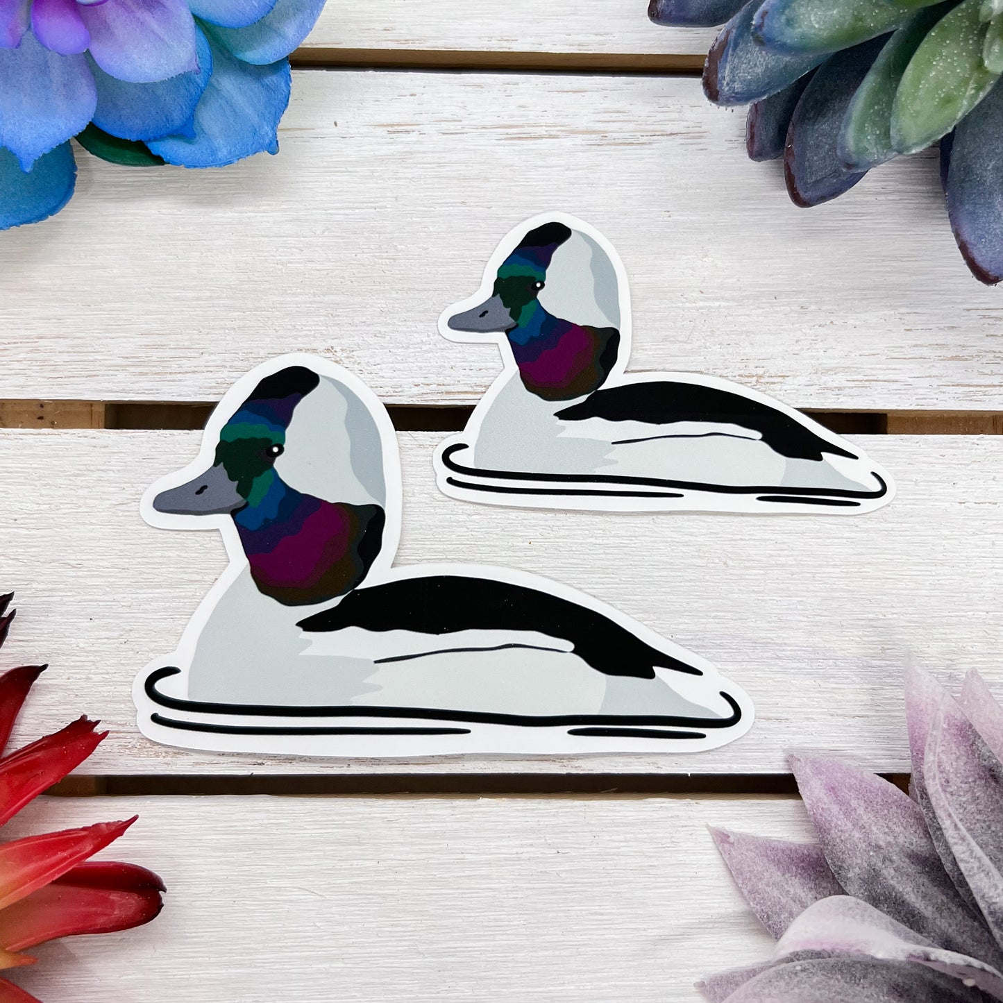 Bufflehead Sticker