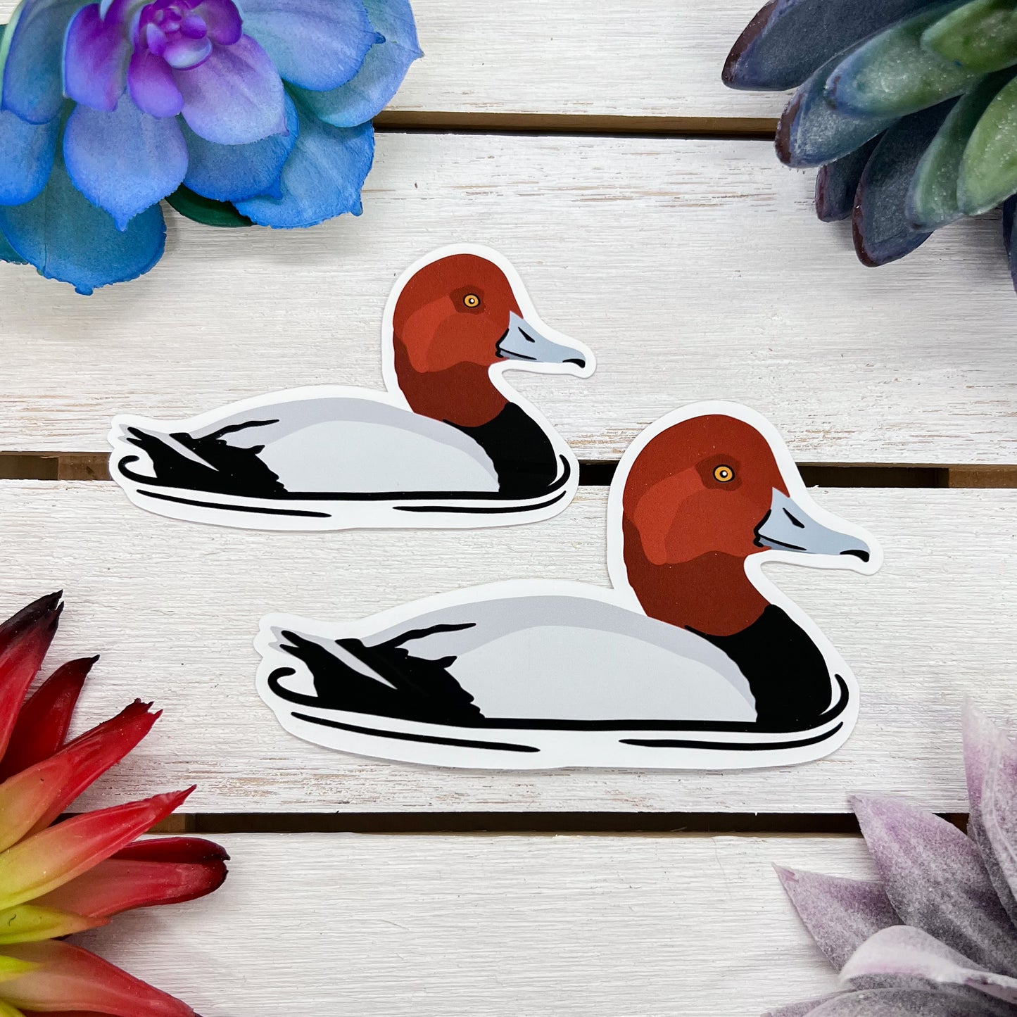 Redhead Duck Sticker