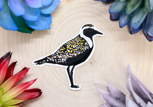 American Golden Plover Sticker