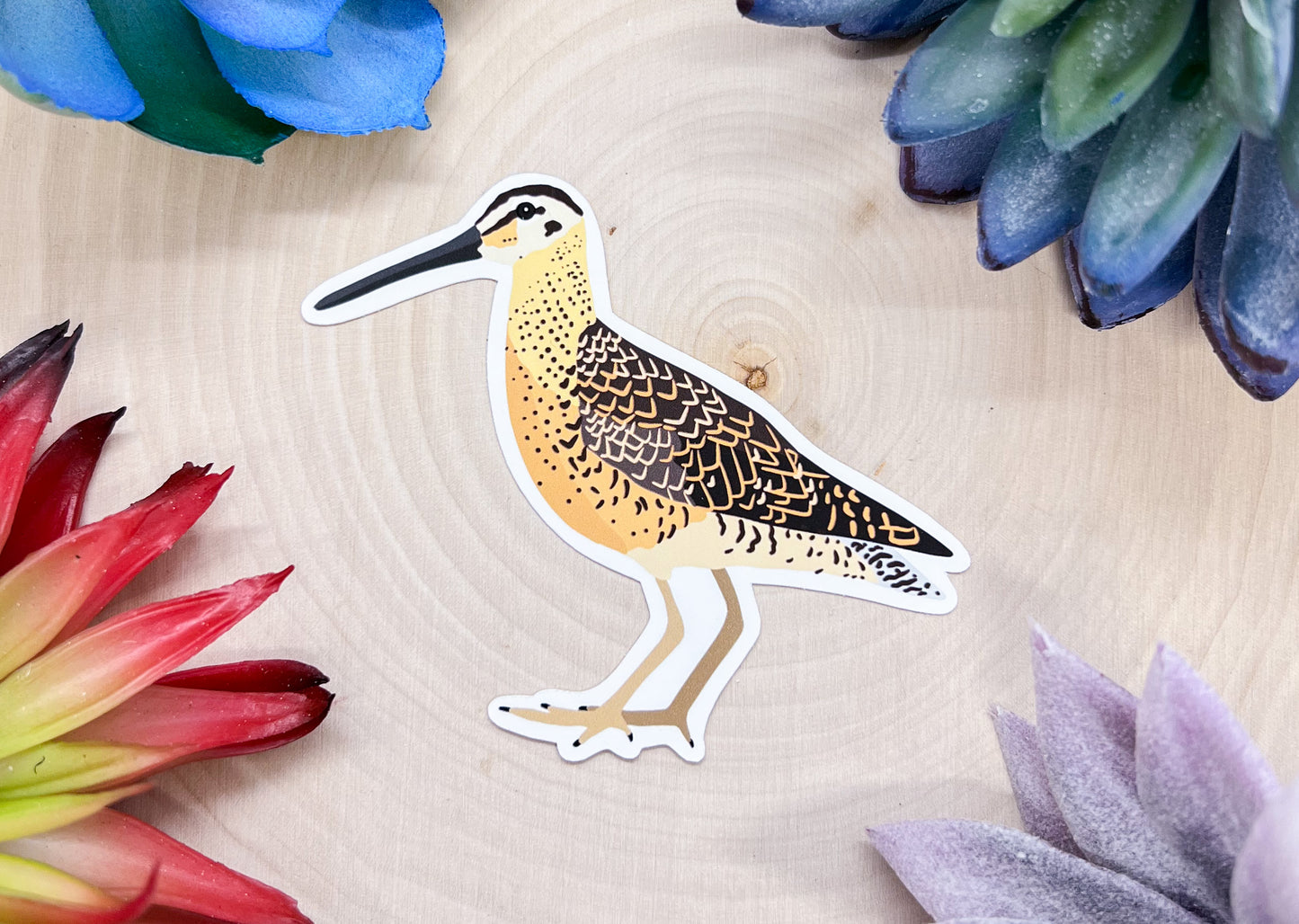 Dowitcher Sticker