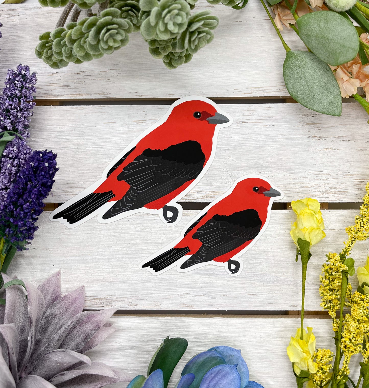 Scarlet Tanager Sticker