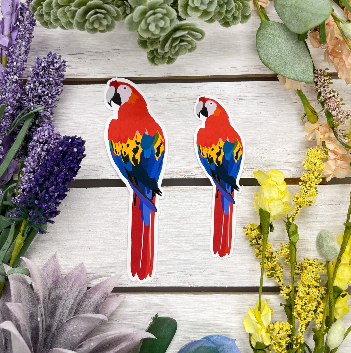 Scarlet Macaw Sticker