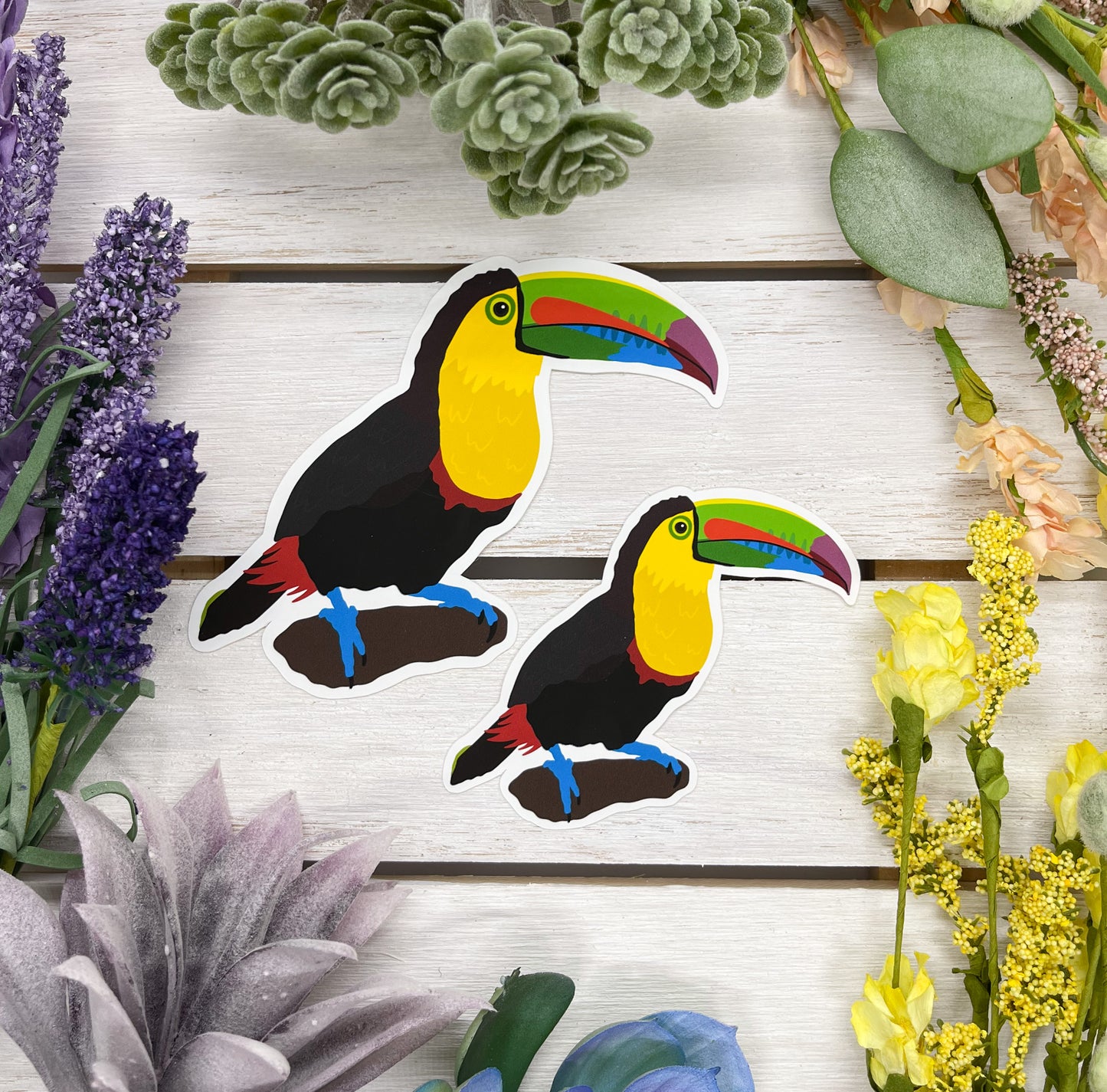 Toucan Sticker