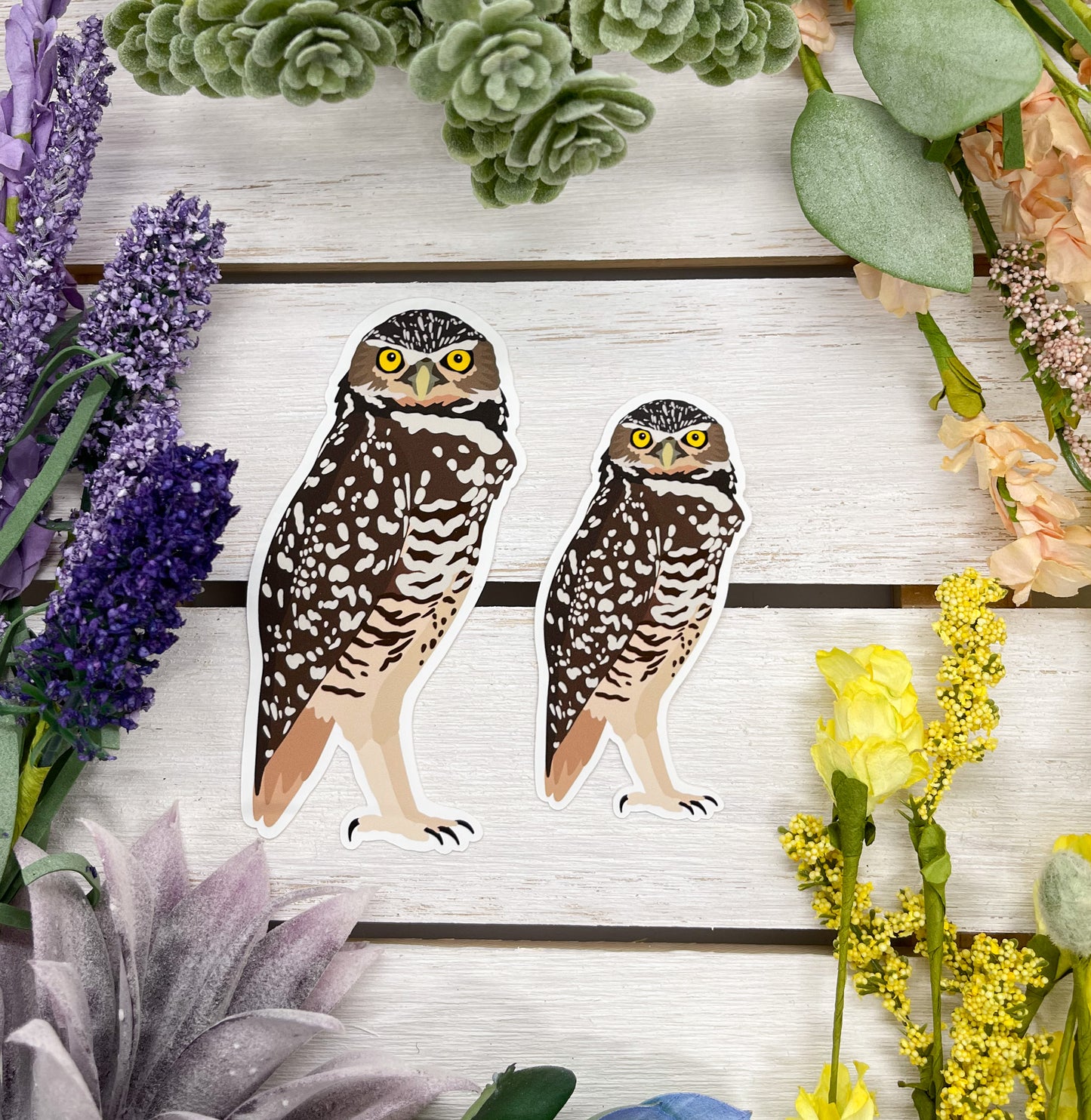 Burrowing Owl Sticker