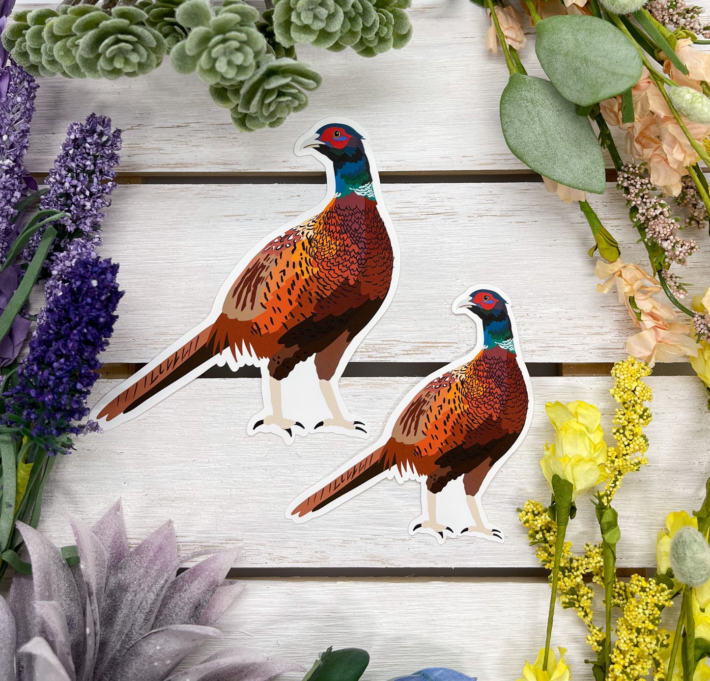 Pheasant Sticker