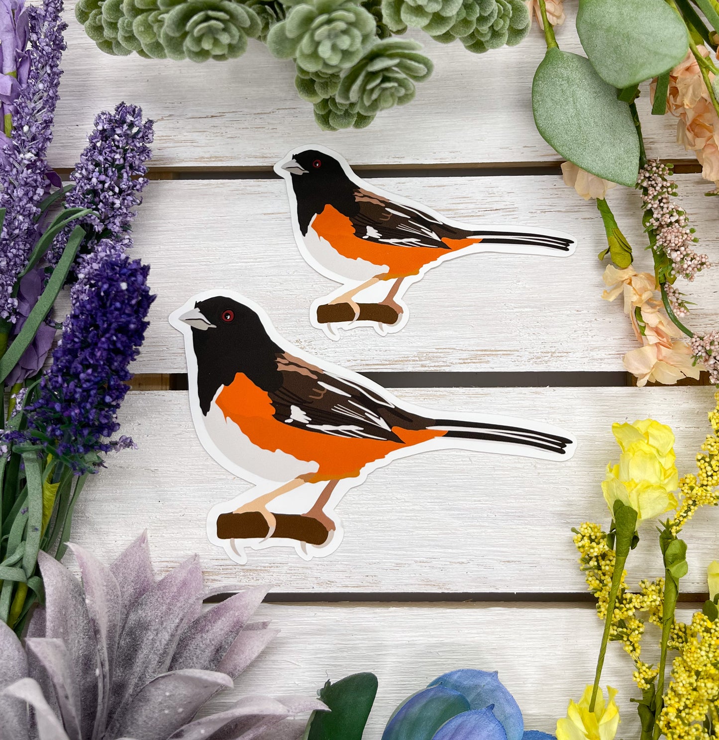 Eastern Towhee Sticker