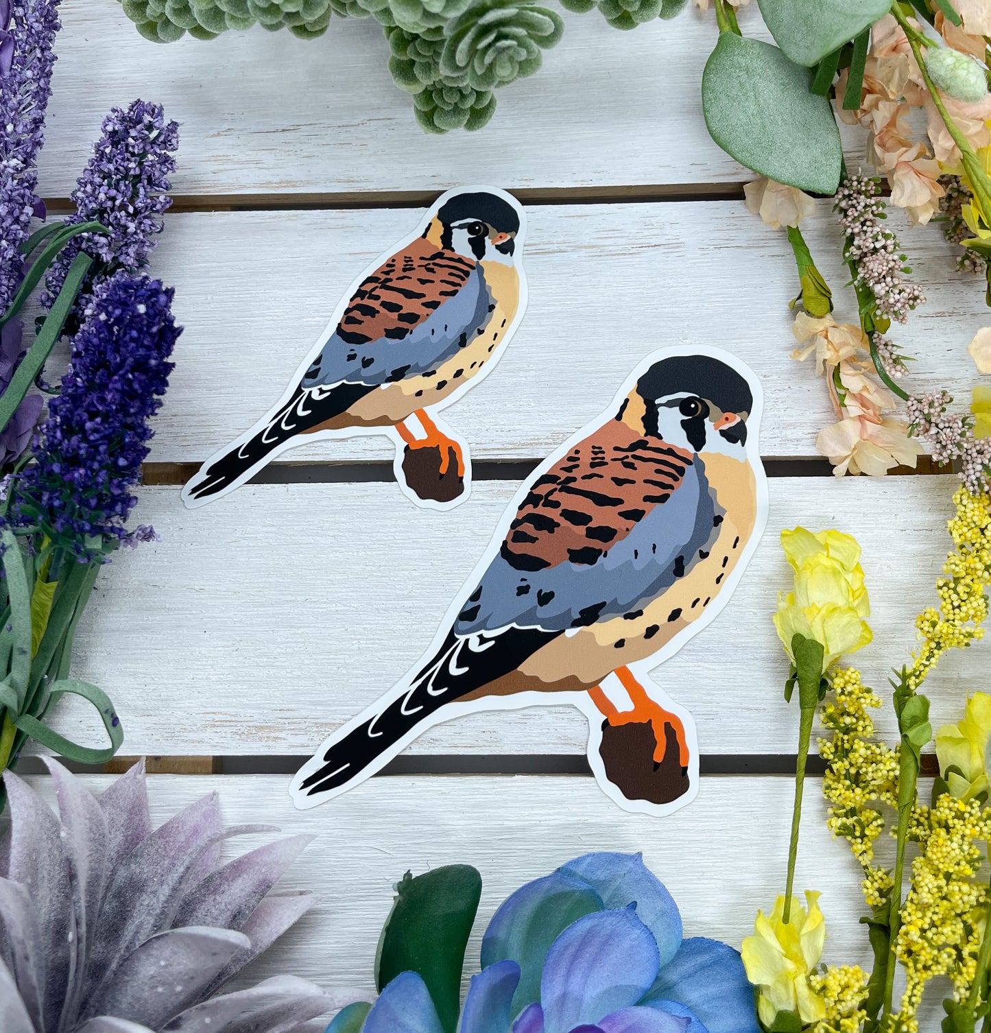 American Kestrel Sticker