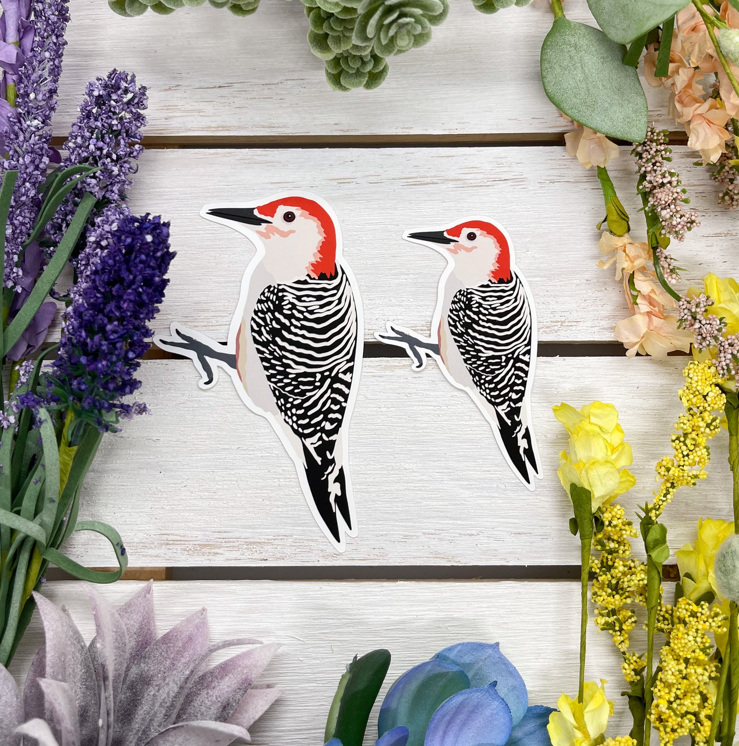 Red Bellied Woodpecker Sticker