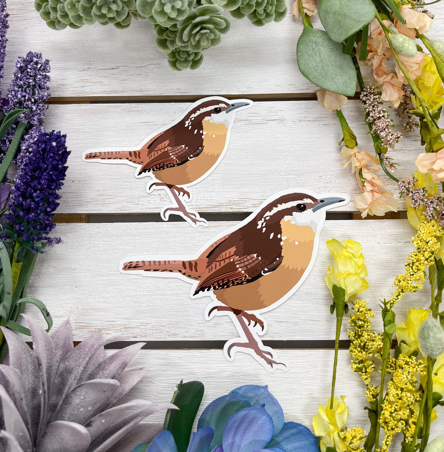 Carolina Wren Sticker