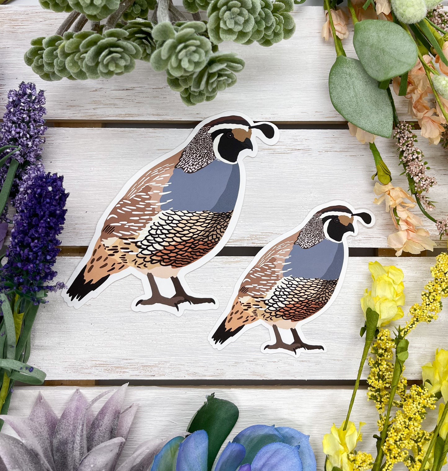 California Quail Sticker