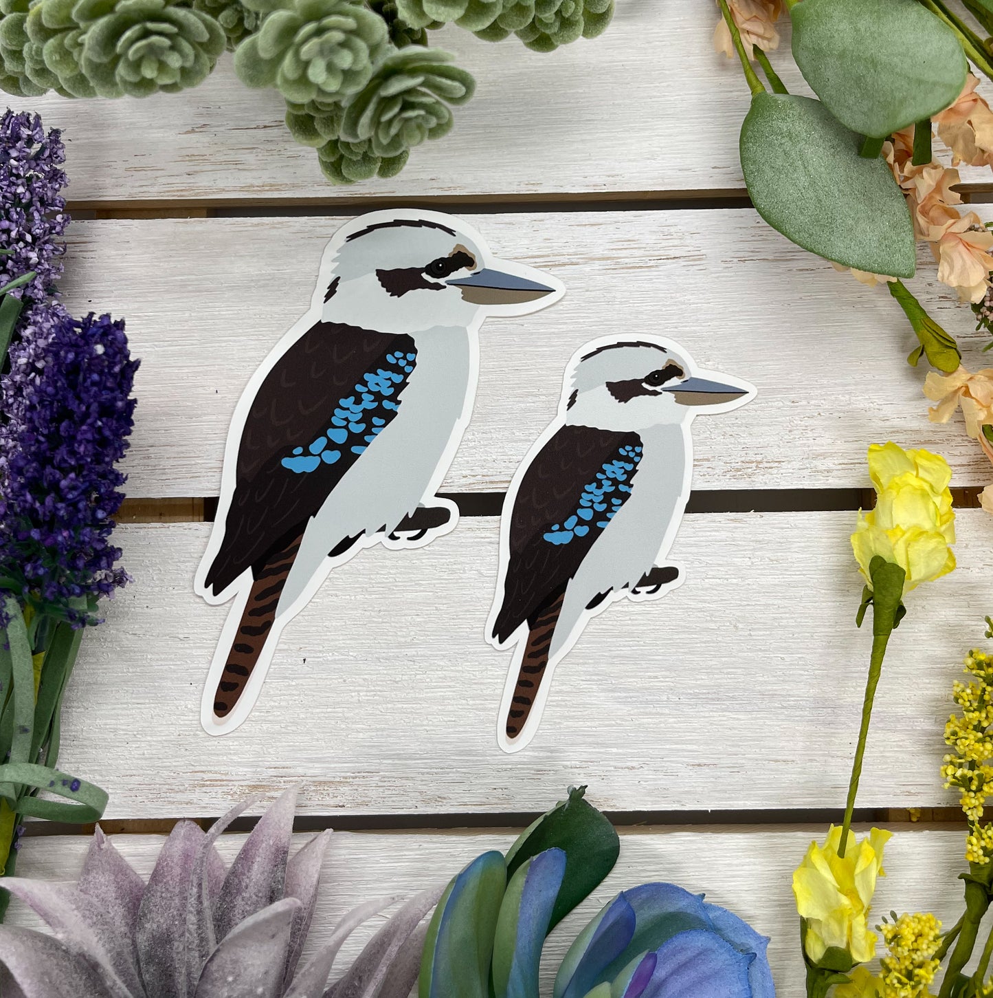 Kookaburra Sticker