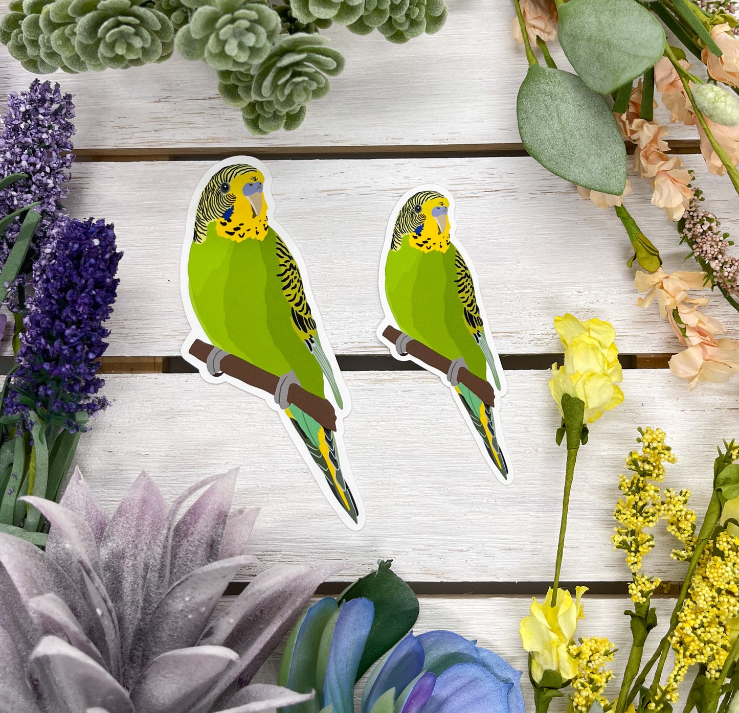 Green Parakeet Sticker