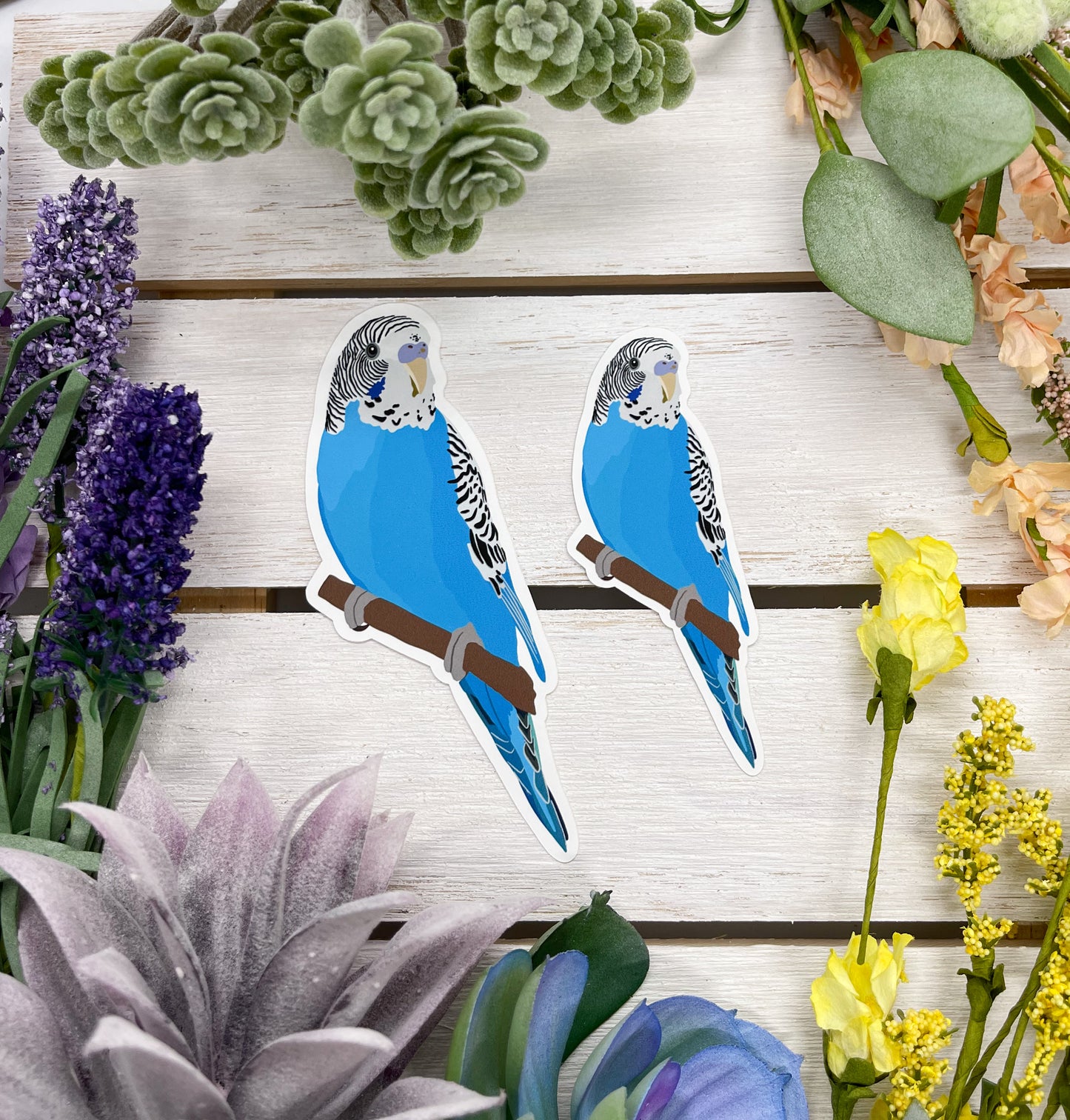 Blue Parakeet Sticker