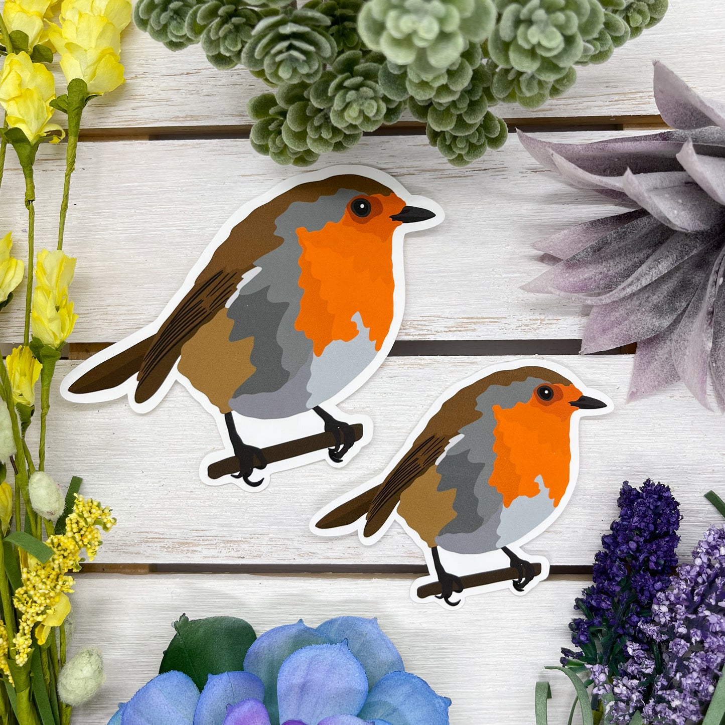 European Robin Sticker