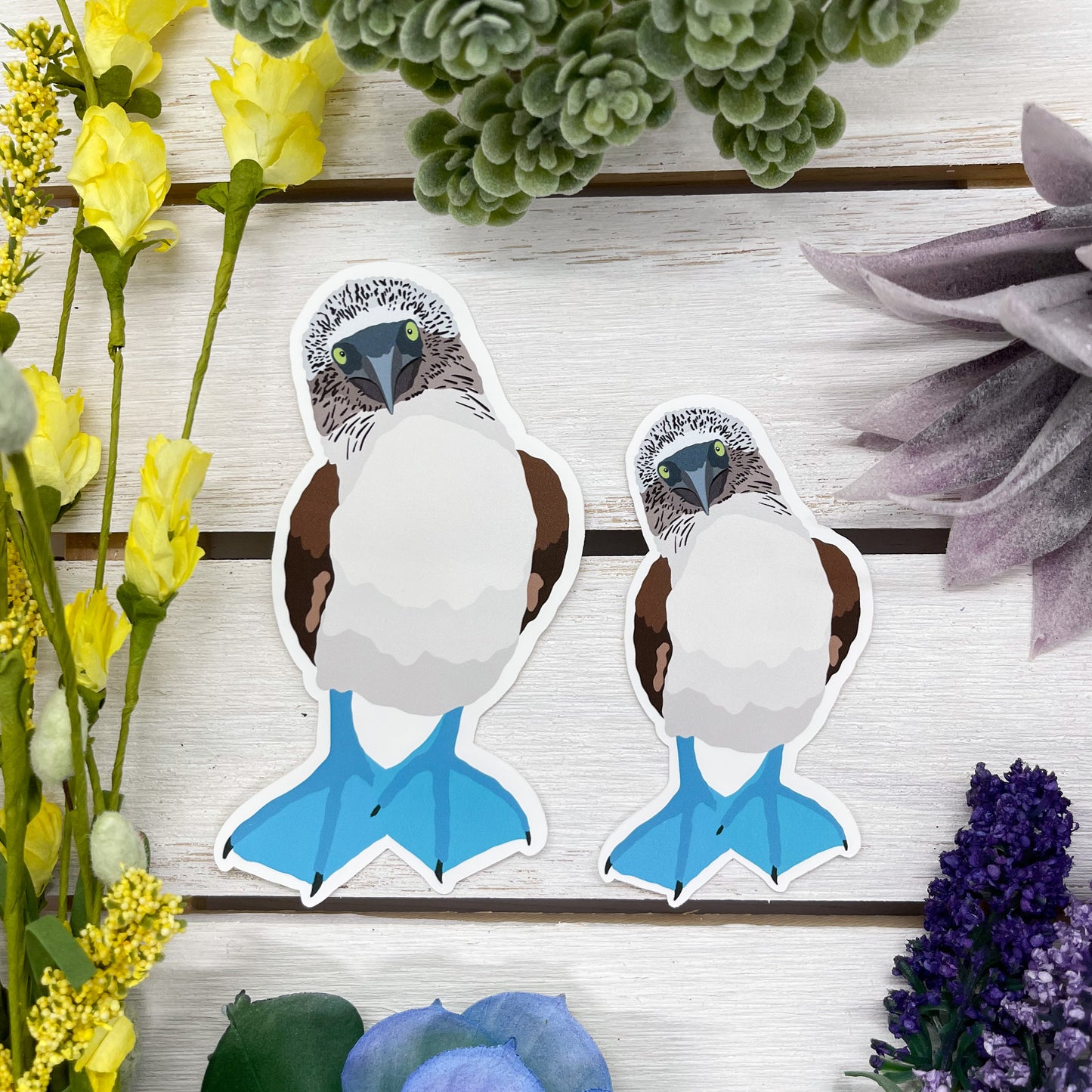 Blue Footed Booby Sticker