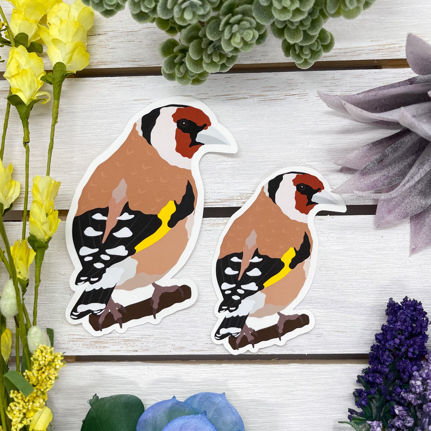 European Goldfinch Sticker