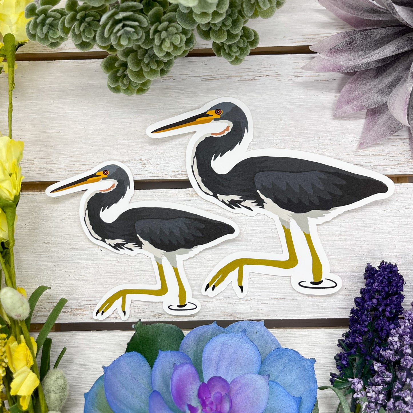 Tricolored Heron Sticker