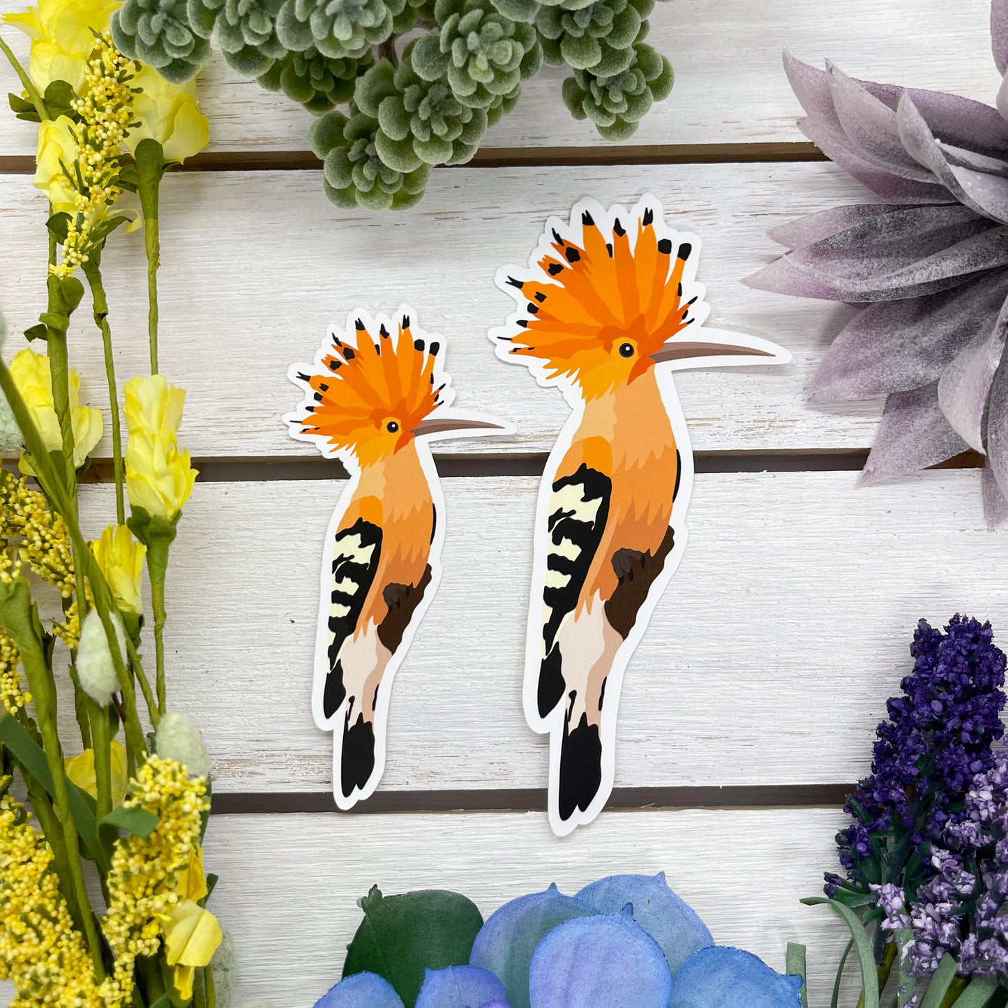 Hoopoe Sticker