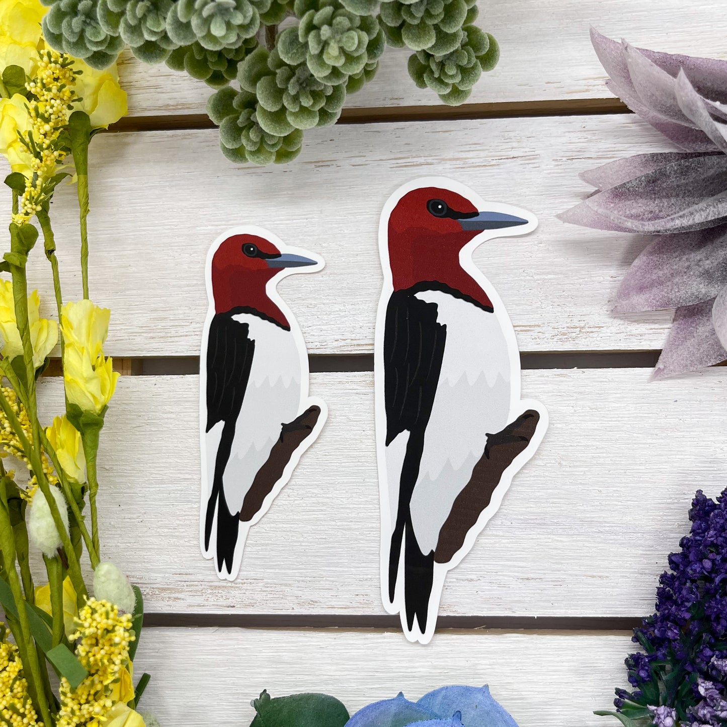 Red Headed Woodpecker Sticker