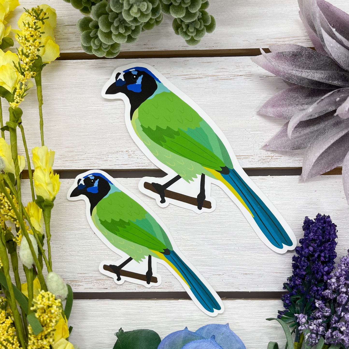 Green Jay Sticker