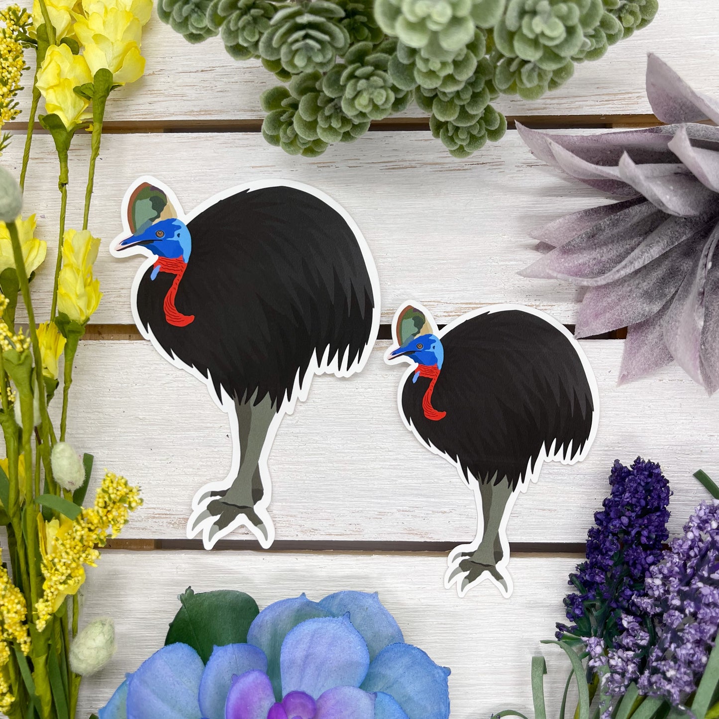 Cassowary Sticker