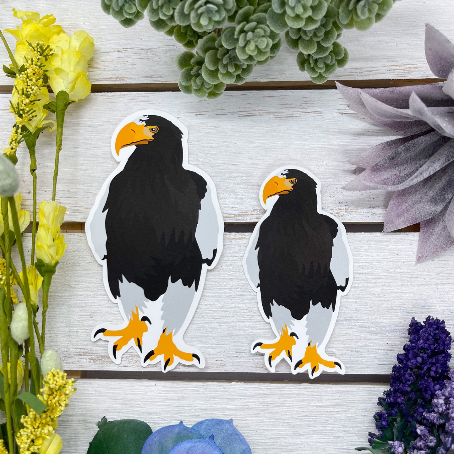 Steller's Sea Eagle Sticker