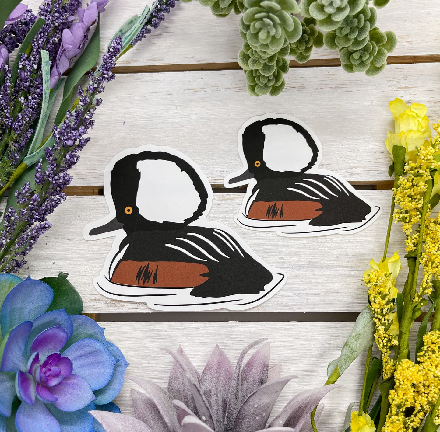 Hooded Merganser Sticker